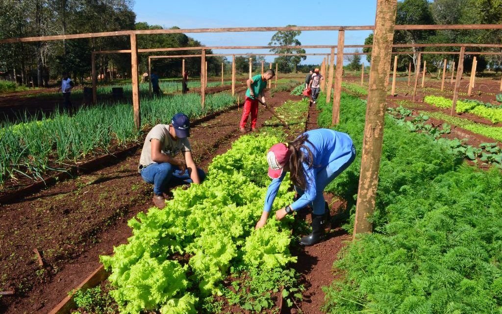 Escuela Agrícola de Carlos Antonio López un polo de desarrollo en el Nordeste de Itapúa