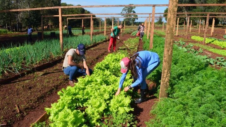 Escuela Agrícola de Carlos Antonio López un polo de desarrollo en el Nordeste de Itapúa