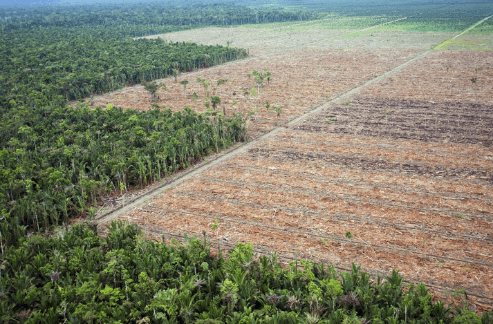 Paraguay, el que más deforesta el Gran Chaco