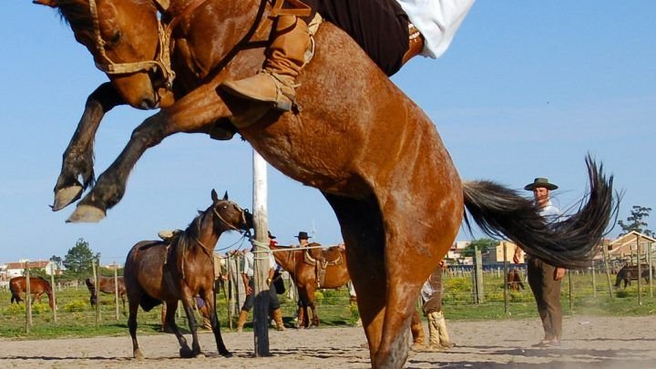 15° Jineteada en Hohenau