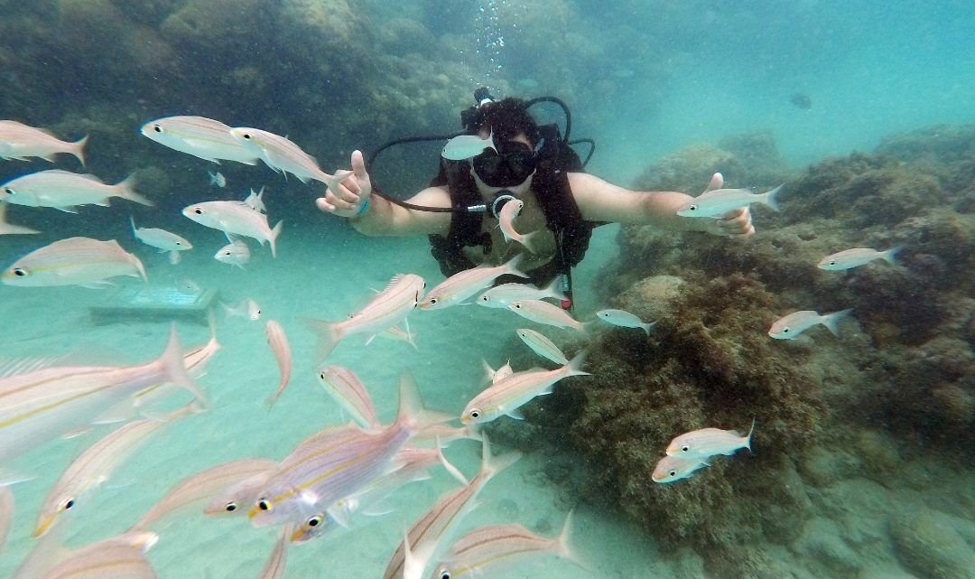 Natal: un paraíso para disfrutar las vacaciones con la familia