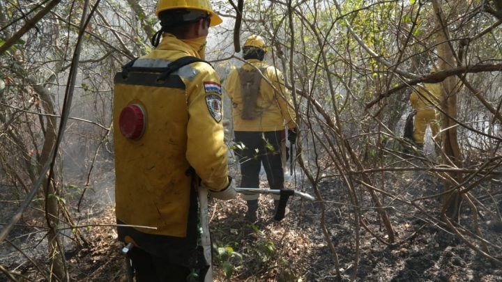 ¿Qué hacer ante humo contaminante por incendios?