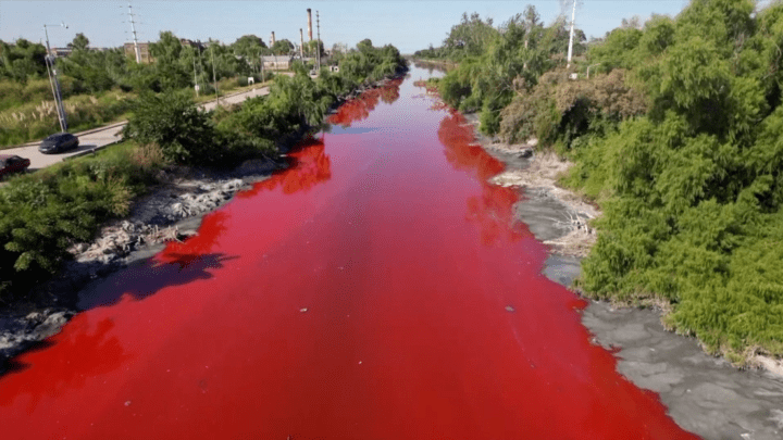 Agua color sangre fluye por un canal de Buenos Aires