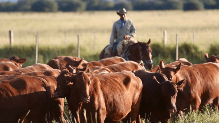 Encuesta Nacional Agropecuaria buscará llegar a más de 20.000 productores en marzo