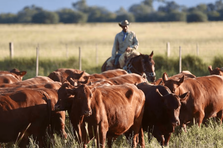 Encuesta Nacional Agropecuaria buscará llegar a más de 20.000 productores en marzo