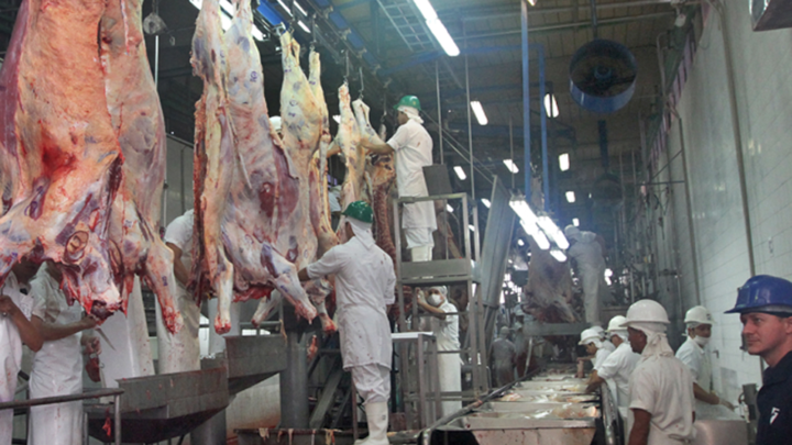 Exportaciones pecuarias alcanzan USD 920 millones al cierre de mayo, con crecimiento en sectores porcino y aviar